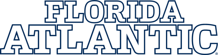 Florida Atlantic Owls 2024-Pres Wordmark Logo v4 diy iron on heat transfer